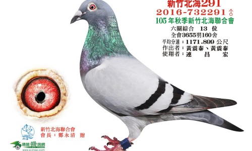 【出汗头皮像针扎一样是怎么回事啊女】出汗头皮像针扎一样是怎么回事啊女 - 出汗头皮像针扎一样是怎么回事啊网